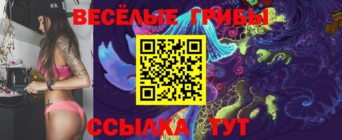 Новоуральск  Псилоцибиновые грибы MAGIC MUSHROOMS  Псилоцибиновые грибы Psilocybine cubensis  Вход с VPN 
